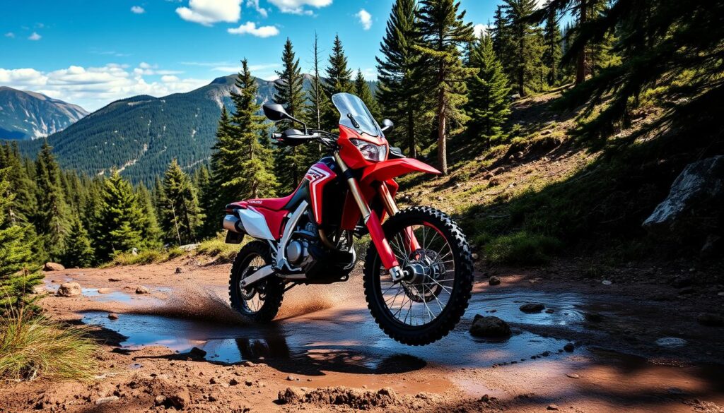 Honda CRF450X 2025 em ação